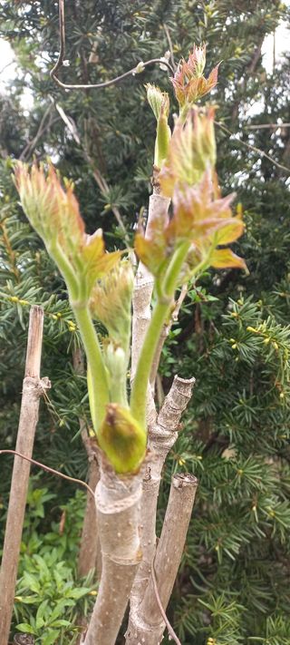 한학수님의 자유주제 · 자유게시판 작성글 사진