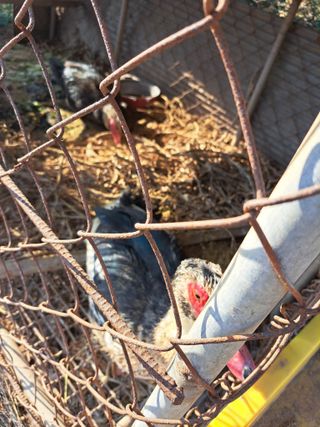 좋은인연원님의 자유주제 · 자유게시판 작성글 사진