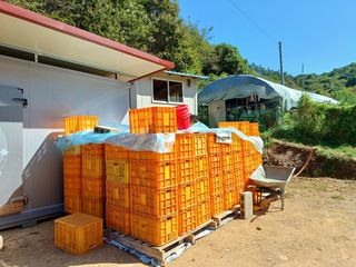 만석농원직판장화이팅님의 연말인사 같이해요💕 · 참여글 작성글 사진