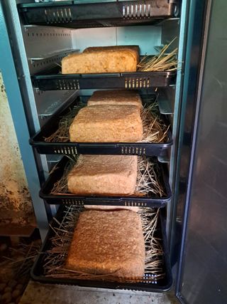 마평 농원님의 자유주제 · 자유게시판 작성글 사진