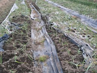 노아님의 자유주제 · 자유게시판 작성글 사진