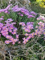 팜모닝 연말인사 같이해요💕·참여글 게시글 이미지