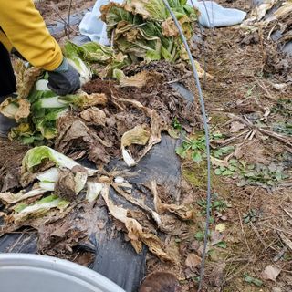 정연섭님의 자유주제 · 자유게시판 작성글 사진