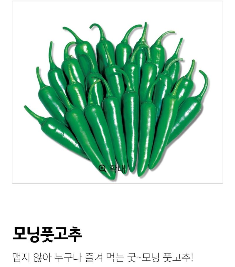 대산농사대장님의 장터 판매 상품 [모닝풋고추 팜한농  신젠타 50립] 첨부 사진