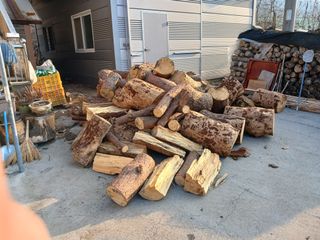 알 수 없음님의 자유주제 · 자유게시판 작성글 사진