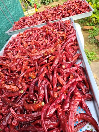 권찬훈님의 연말인사 같이해요💕 · 참여글 작성글 사진