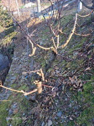 김용대님의 자유주제 · 자유게시판 작성글 사진