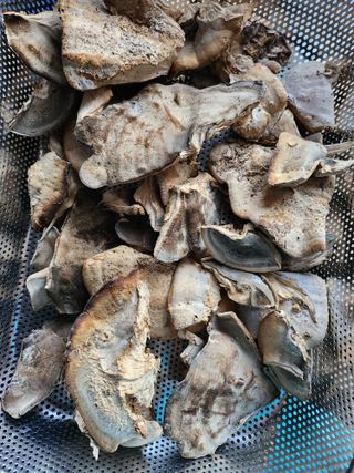 김포농민님의 자유주제 · 자유게시판 작성글 사진