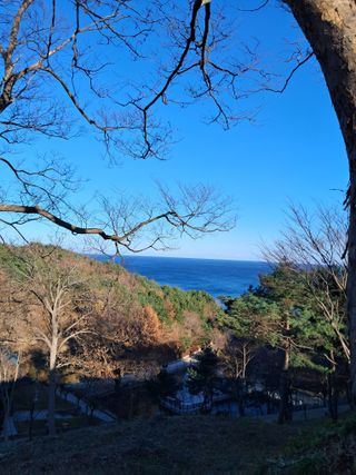 시후농원💃대표박승애님의 연말인사 같이해요💕 · 참여글 작성글 사진
