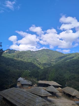 시후농원💃대표박승애님의 연말인사 같이해요💕 · 참여글 작성글 사진