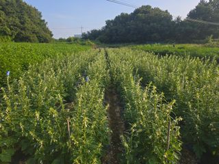 서울농부님의 자유주제 · 자유게시판 작성글 사진