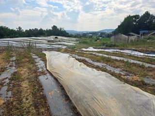 서울농부님의 자유주제 · 자유게시판 작성글 사진