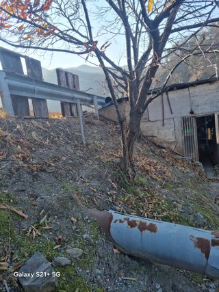 김용대님의 자유주제 · 자유게시판 작성글 사진