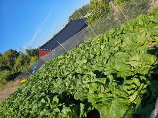 여수ds님의 연말인사 같이해요💕 · 참여글 작성글 사진
