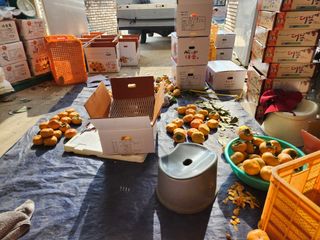 대파19981님의 연말인사 같이해요💕 · 참여글 작성글 사진