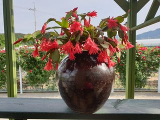 신득경님의 연말인사 같이해요💕 · 참여글 작성글 사진