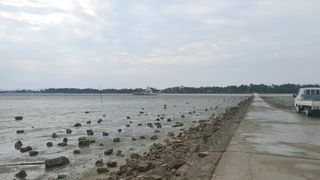 광성5호님의 자유주제 · 자유게시판 작성글 사진