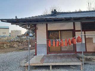 마평 농원님의 자유주제 · 자유게시판 작성글 사진