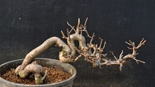 이정운님의 자유주제 · 자유게시판 작성글 사진