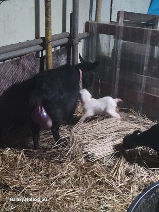 고기만님의 자유주제 · 사진전 작성글 사진