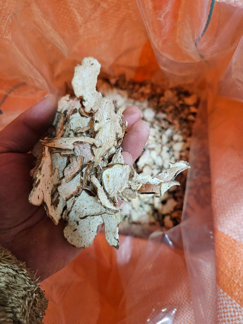 해피니스님의 장터 판매 상품 [백출] 첨부 사진