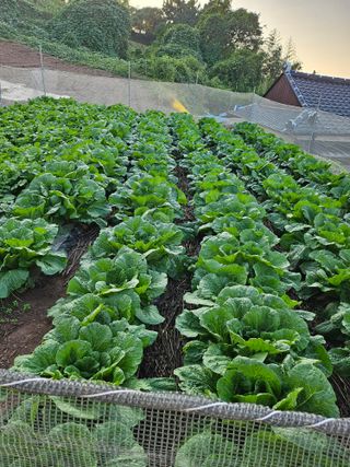 여수ds님의 연말인사 같이해요💕 · 참여글 작성글 사진