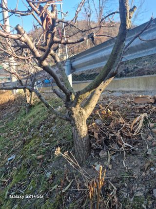 김용대님의 자유주제 · 자유게시판 작성글 사진