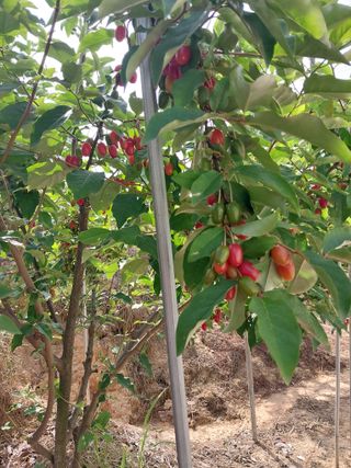 자연인님의 자유주제 · 자유게시판 작성글 사진