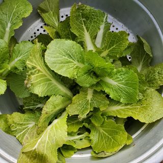 정연섭님의 자유주제 · 자유게시판 작성글 사진