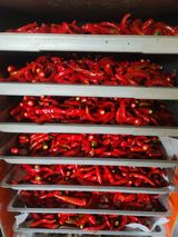 팜모닝 👍올해 나의 최고 자랑은?·참여글 게시글 이미지