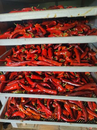 둥근마지기님의 👍올해 나의 최고 자랑은? · 참여글 작성글 사진