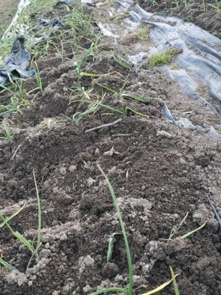 노아님의 자유주제 · 자유게시판 작성글 사진