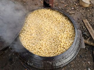 마평 농원님의 자유주제 · 자유게시판 작성글 사진