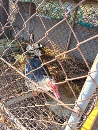 좋은인연원님의 자유주제 · 자유게시판 작성글 사진