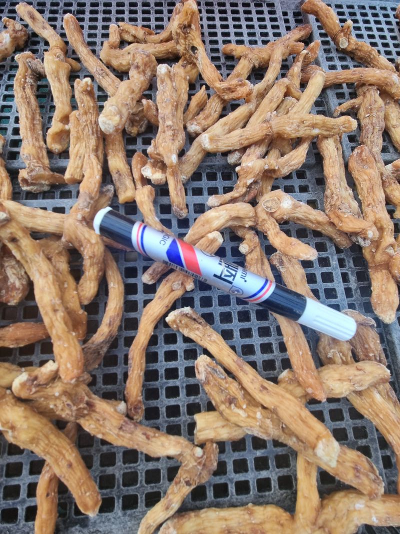 해피니스님의 장터 판매 상품 [건둥굴레 판매합니다.] 첨부 사진