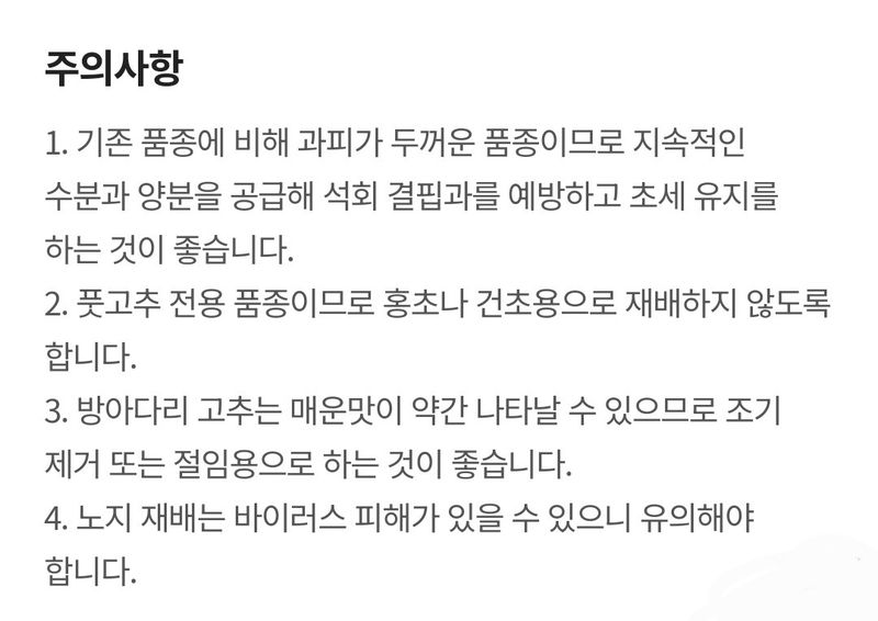 대산농사대장님의 장터 판매 상품 [모닝풋고추 팜한농  신젠타 50립] 첨부 사진