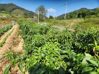 대파19981님의 연말인사 같이해요💕 · 참여글 작성글 사진