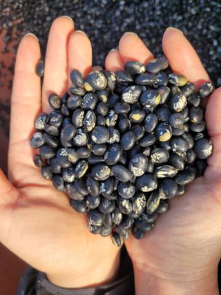 이은호님의 작성글 사진