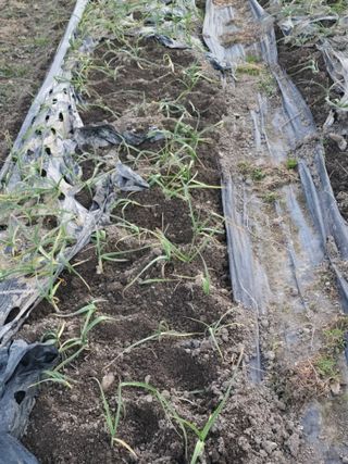 노아님의 자유주제 · 자유게시판 작성글 사진