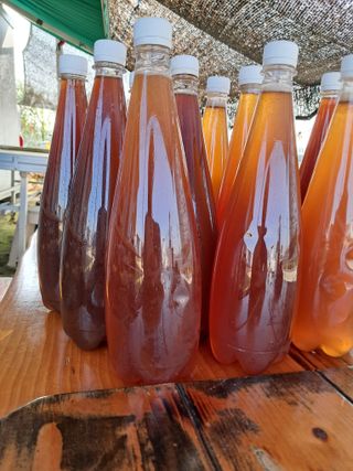 시후농원💃대표박승애님의 연말인사 같이해요💕 · 참여글 작성글 사진