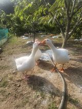 팜모닝 연말인사 같이해요💕·참여글 게시글 이미지