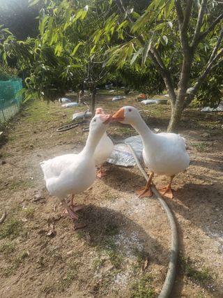 차병준님의 연말인사 같이해요💕 · 참여글 작성글 사진