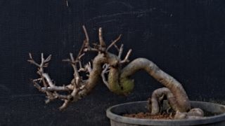 이정운님의 자유주제 · 자유게시판 작성글 사진