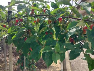 자연인님의 자유주제 · 자유게시판 작성글 사진