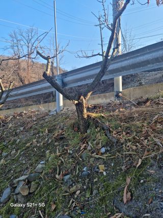 김용대님의 자유주제 · 자유게시판 작성글 사진