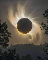 팜모닝 자유주제·자유게시판 게시글 이미지