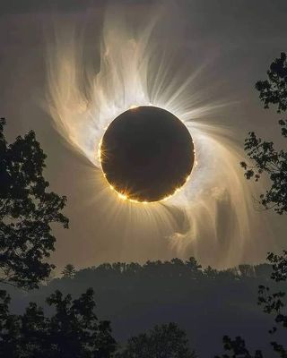 고북면공심채 농인님의 자유주제 · 자유게시판 작성글 사진