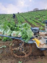 팜모닝 👍올해 나의 최고 자랑은?·참여글 게시글 이미지