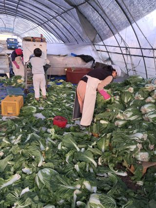 천년의사랑님의 👍올해 나의 최고 자랑은? · 참여글 작성글 사진