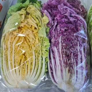 훈&팜님의 👍올해 나의 최고 자랑은? · 참여글 작성글 사진